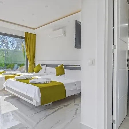Villa Ortac 2 Doga Icerisinde, Korunakli Kas